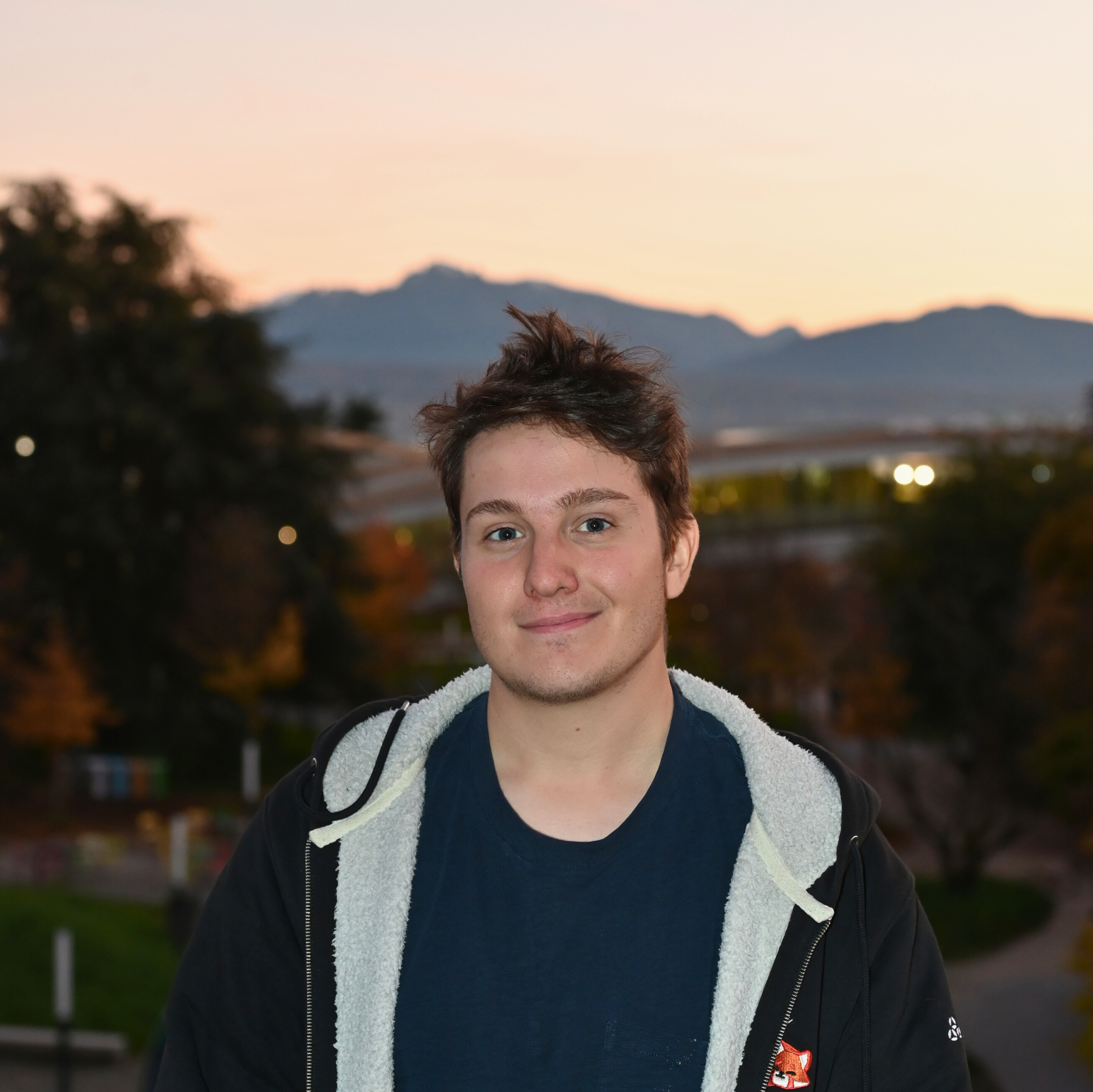 Sébastien Briand – Comité libre